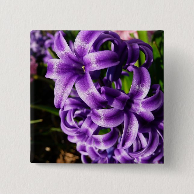 Blue Hyacinth II Spring Floral Button (Front)