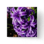 Blue Hyacinth II Spring Floral Button