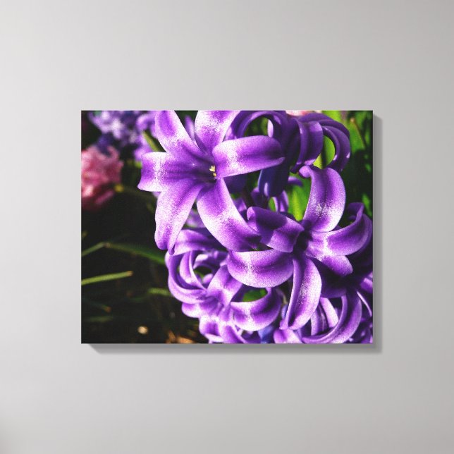 Blue Hyacinth II Spring Floral Canvas Print (Front)