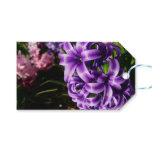 Blue Hyacinth II Spring Floral Gift Tags