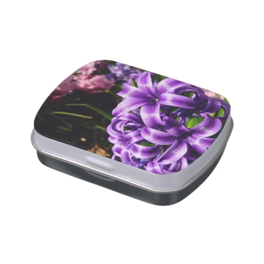 Blue Hyacinth II Spring Floral Jelly Belly Tin (Side)