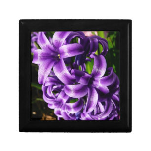 Blue Hyacinth II Spring Floral Jewelry Box