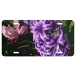 Blue Hyacinth II Spring Floral License Plate