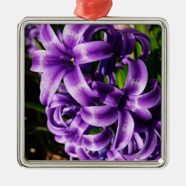 Blue Hyacinth II Spring Floral Metal Ornament (Front)