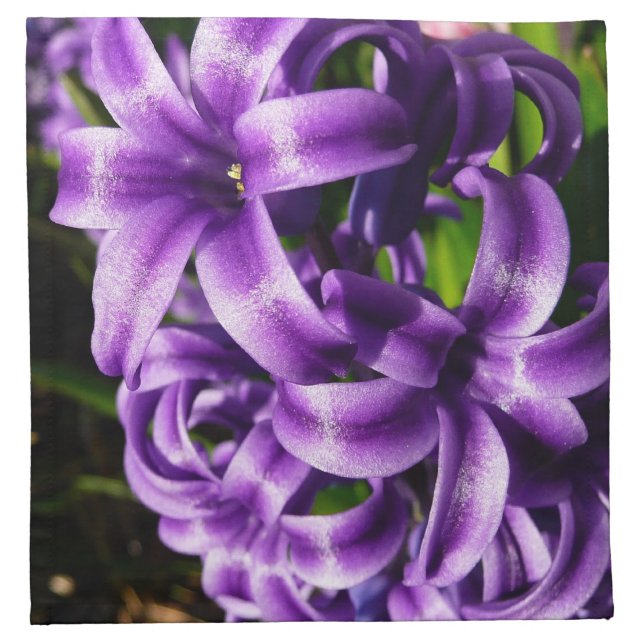 Blue Hyacinth II Spring Floral Napkin (Front)