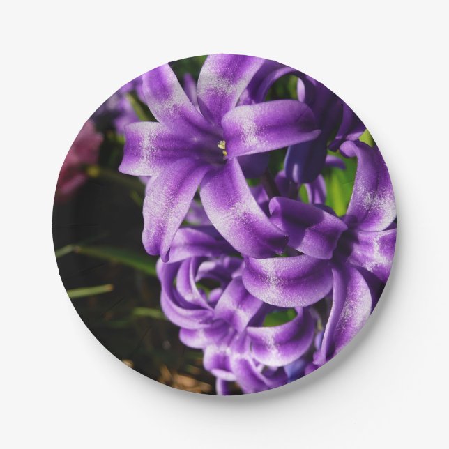 Blue Hyacinth II Spring Floral Paper Plates (Front)