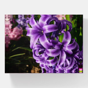 Blue Hyacinth II Spring Floral Paperweight