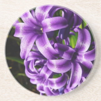 Blue Hyacinth II Spring Floral Sandstone Coaster