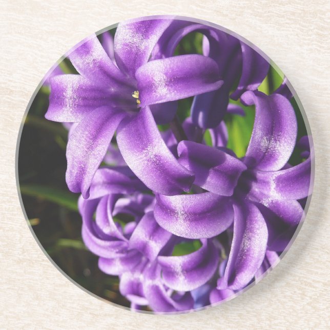 Blue Hyacinth II Spring Floral Sandstone Coaster (Front)
