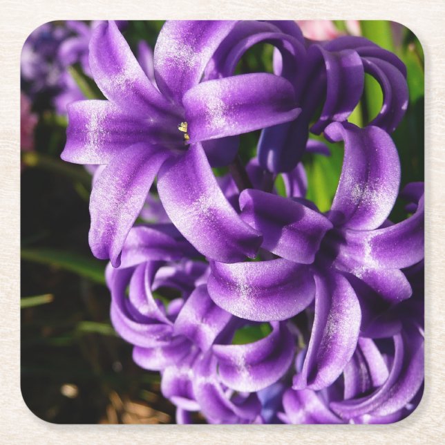 Blue Hyacinth II Spring Floral Square Paper Coaster (Front)