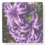 Blue Hyacinth II Spring Floral Stone Coaster