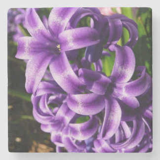Blue Hyacinth II Spring Floral Stone Coaster