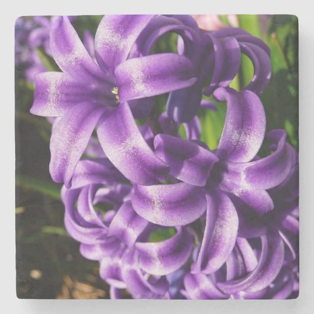 Blue Hyacinth II Spring Floral Stone Coaster (Front)