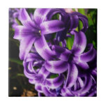 Blue Hyacinth II Spring Floral Tile
