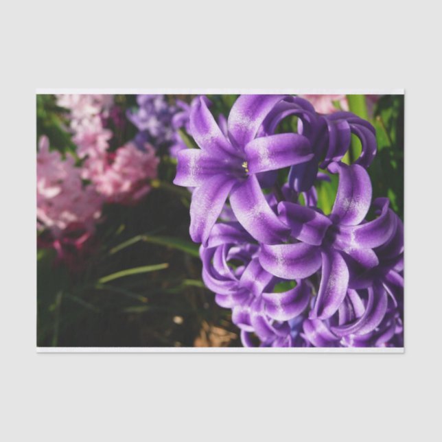 Blue Hyacinth II Spring Floral Tissue Paper (Front)