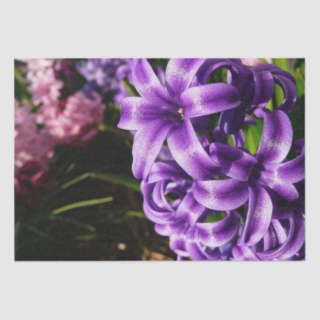 Blue Hyacinth II Spring Floral Tissue Paper (Front)