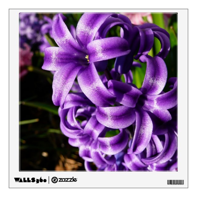 Blue Hyacinth II Spring Floral Wall Sticker (Front)