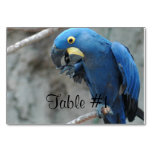 Blue Hyacinth Macaw Table Number