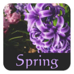 Blue Hyacinth Spring Sticker