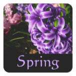Blue Hyacinth Spring Sticker