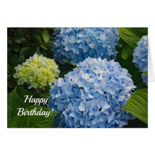 Blue Hydrangea 814 Birthday Card