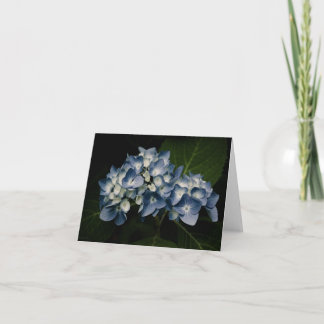 Blue Hydrangea 8514 Card