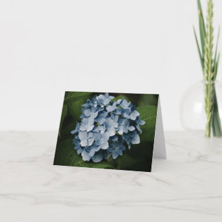 Blue Hydrangea 8515 Card