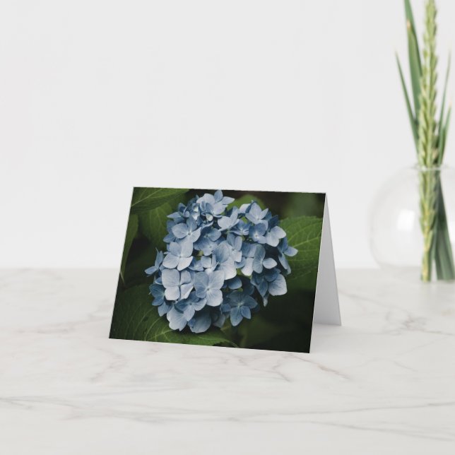 Blue Hydrangea 8515 Card (Front)