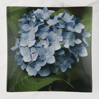 Blue Hydrangea 8515 Trinket Trays
