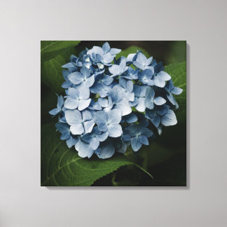 Blue Hydrangea 8515 Wrapped Canvas Print