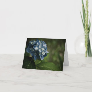 Blue Hydrangea 8519 Card