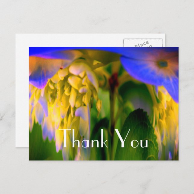 Blue Hydrangea Abstract Floral Thank You Postcard (Front/Back)