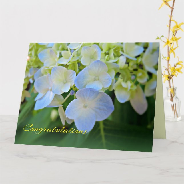 Blue Hydrangea Any Occasion Congratulations Card (Yellow Flower)