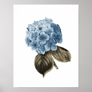 Blue Hydrangea Artwork #1 Botanical Wall Art