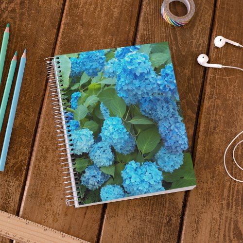 Blue Hydrangea Blooms Floral Notebook