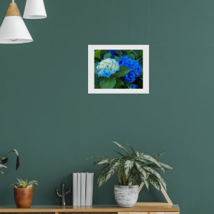 Blue Hydrangea Blooms Floral Poster