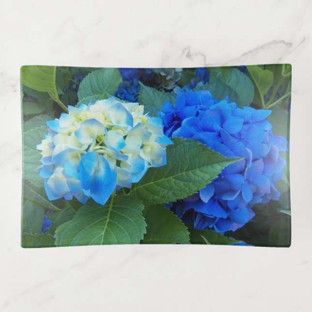Blue Hydrangea Blooms Floral Trinket Tray (Front)