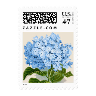 Hydrangea Postage, Custom Hydrangea Stamps