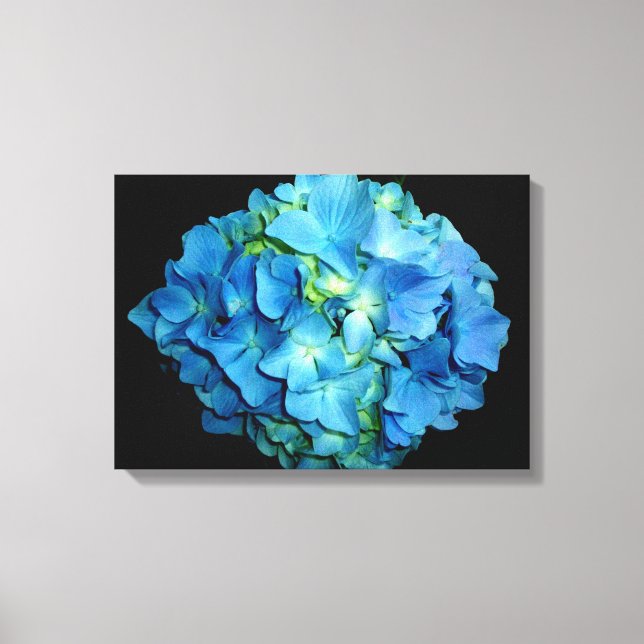 Blue Hydrangea Canvas Print (Front)
