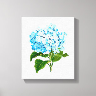 Blue Hydrangea Canvas Print