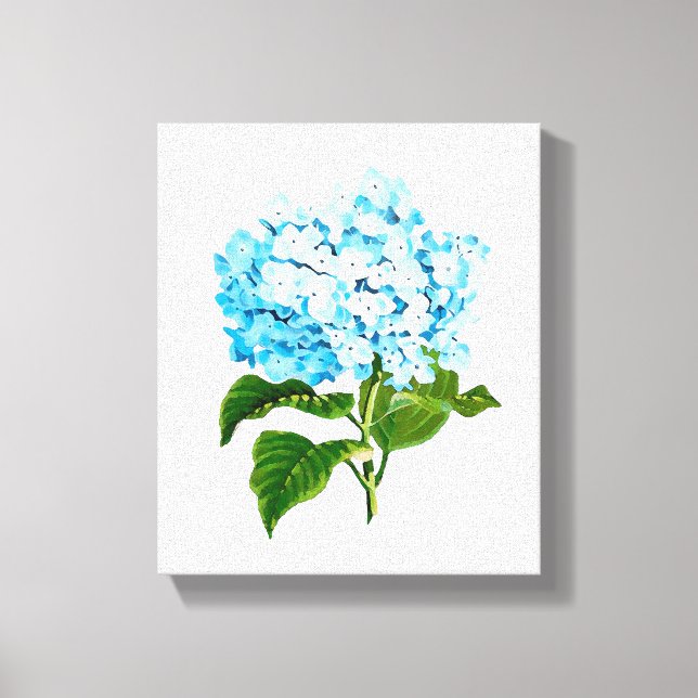 Blue Hydrangea Canvas Print (Front)
