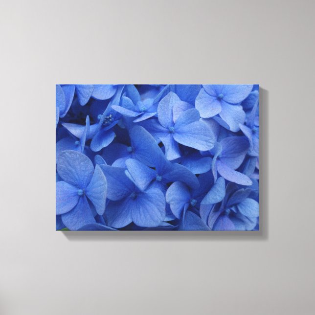 Blue Hydrangea Canvas Print (Front)