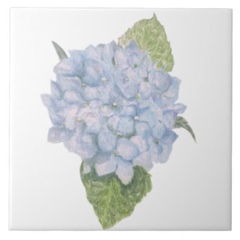 Blue Hydrangea Ceramic Tile by Eclectic_Ramblings at Zazzle
