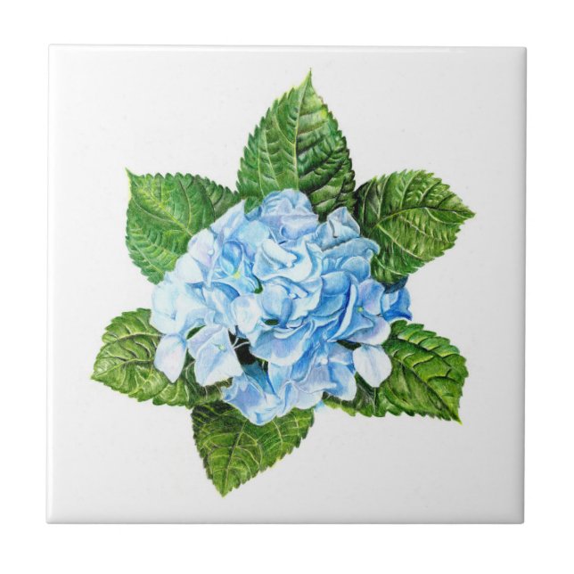 Blue Hydrangea Ceramic Tile (Front)