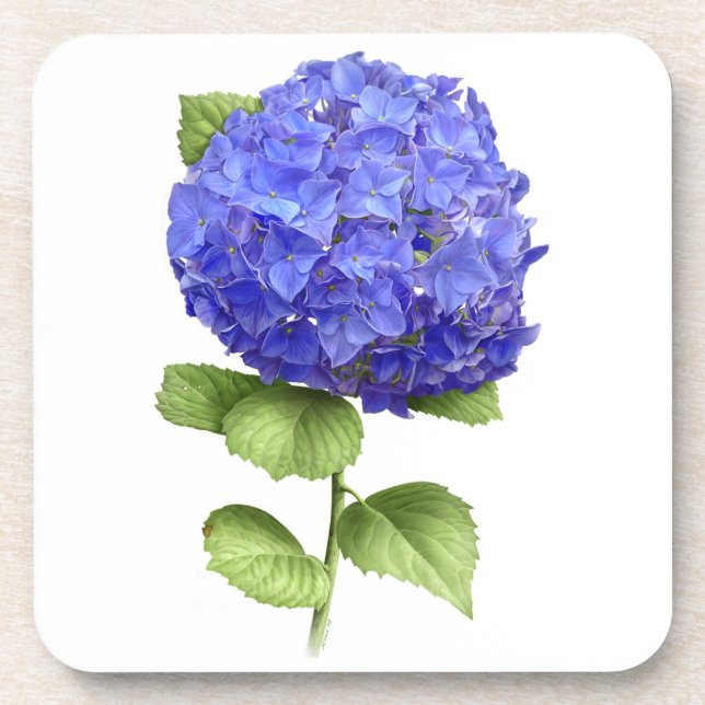 Blue Hydrangea Drink Coaster (Front)