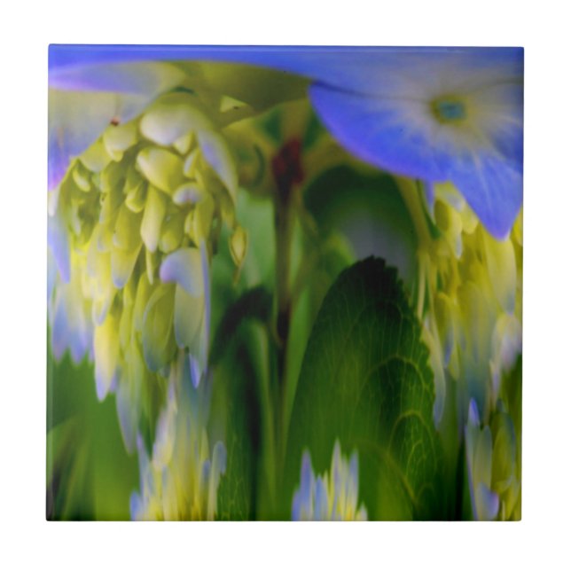 Blue Hydrangea Floral Abstract Art Tile (Front)