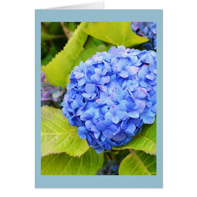 Blue hydrangea floral card (Front)