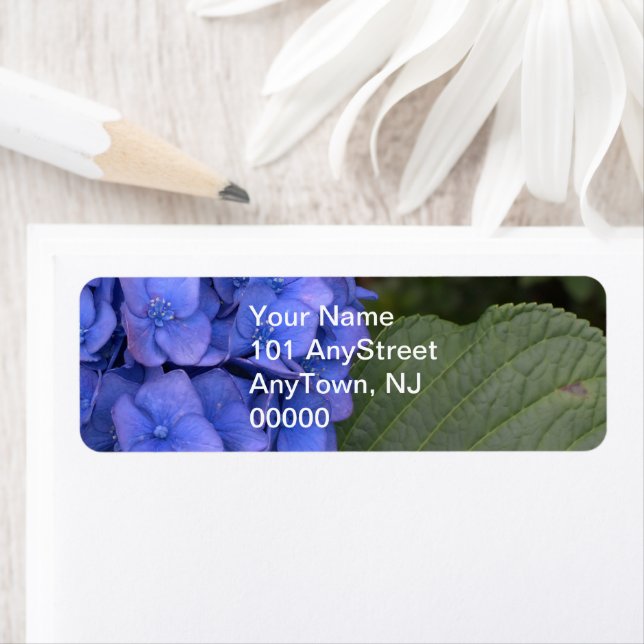 Blue Hydrangea Floral Label (Insitu)