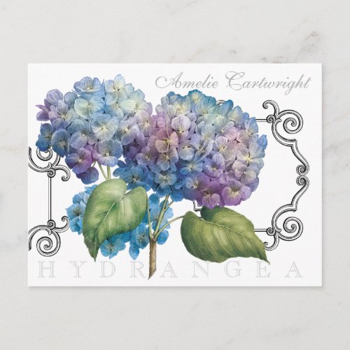 Blue Hydrangea Floral Monogrammed Name Postcard