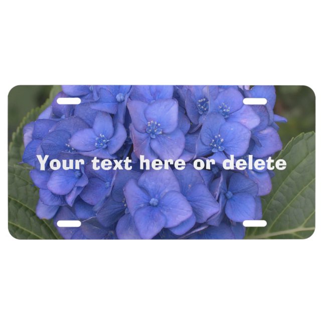 Blue Hydrangea Floral Personalized License Plates (Front)